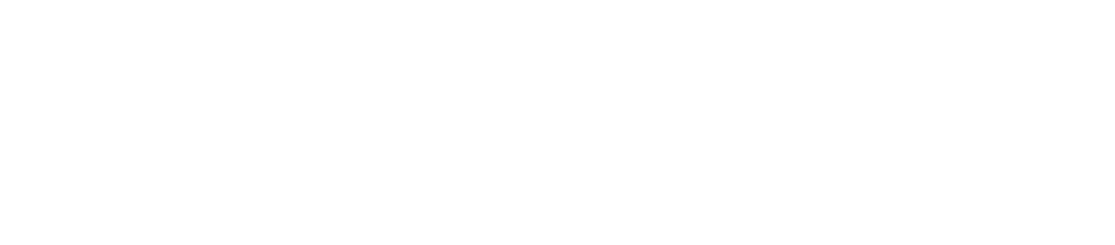 New York Film Academy logo